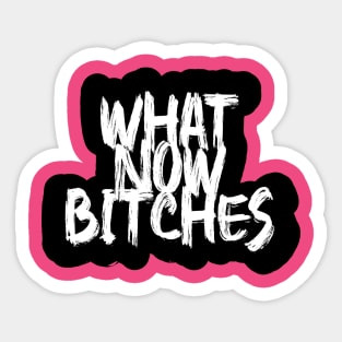 What now bitches Sticker